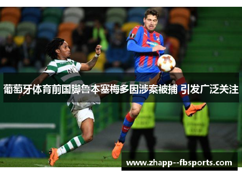 葡萄牙体育前国脚鲁本塞梅多因涉案被捕 引发广泛关注