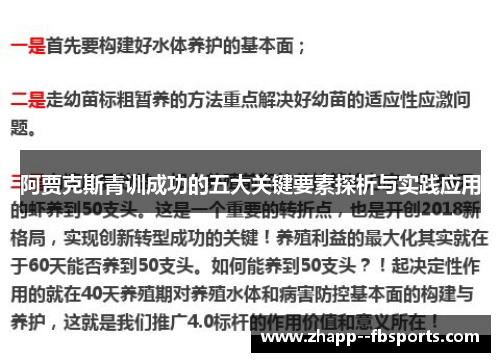阿贾克斯青训成功的五大关键要素探析与实践应用 阿贾克斯青训成功的五大关键要素探析与实践应用